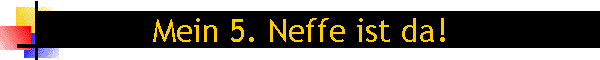 Mein 5. Neffe ist da!